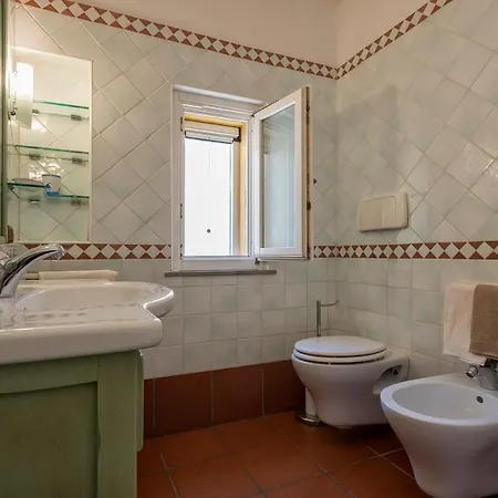 Ferret Альгеро