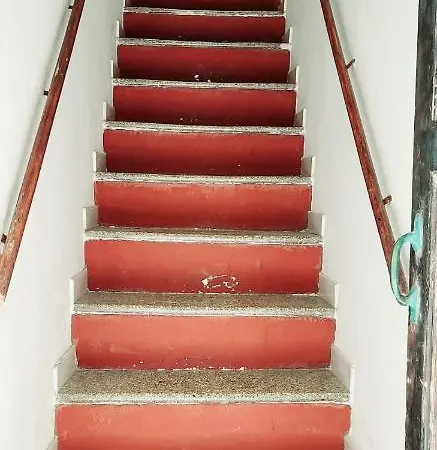 Ferret Apartamento *